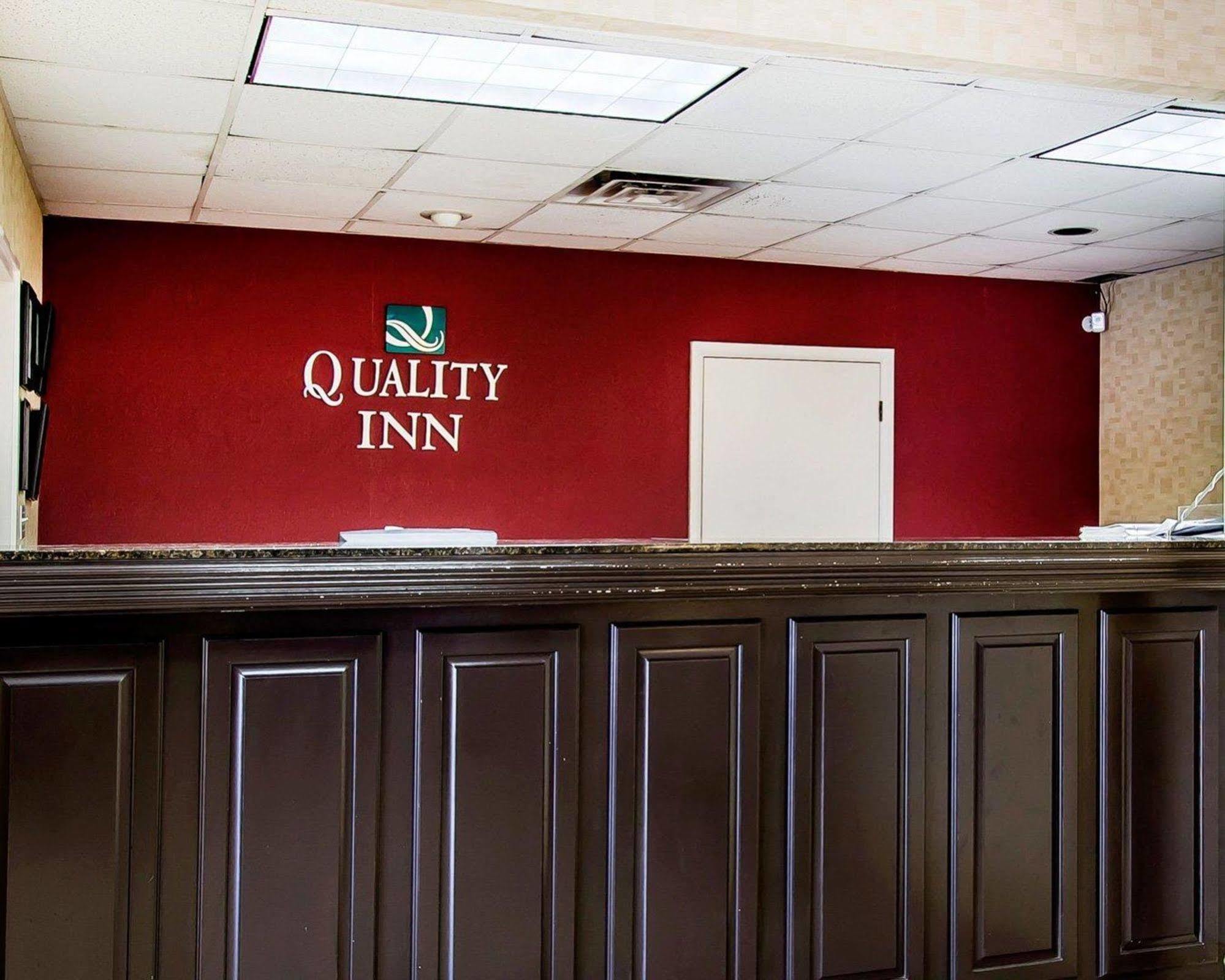 Quality Area 2*